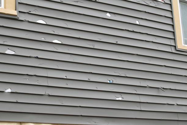 Best Siding Painting and Refinishing  in Eagle Point, AL